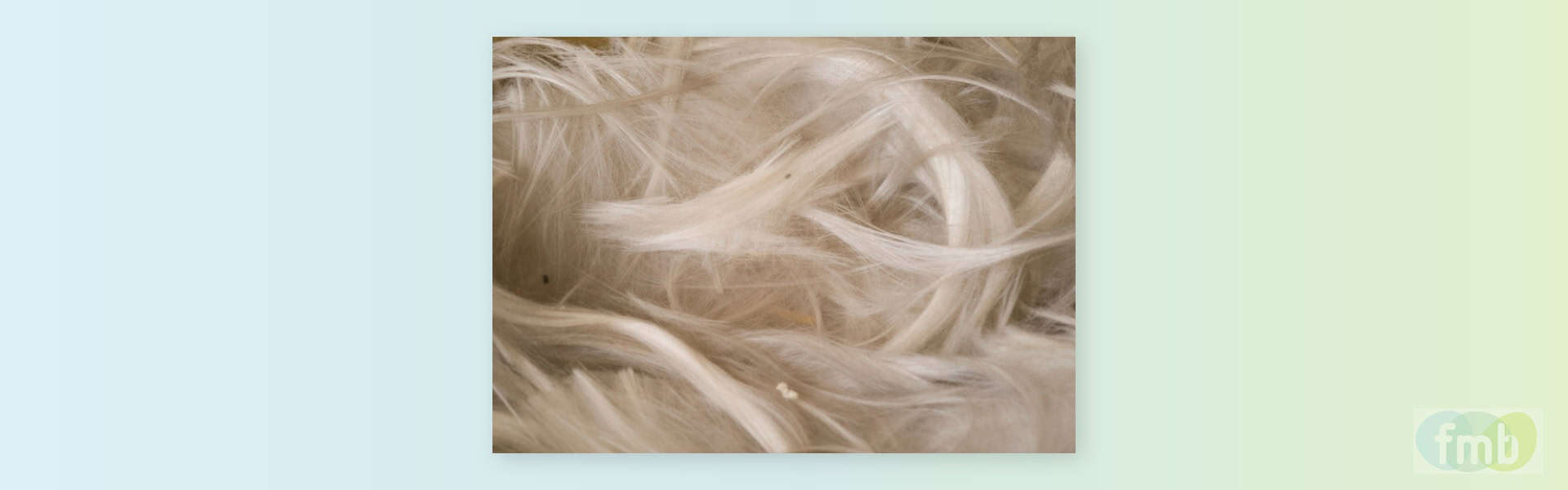 amiante_fmb_banniere_v2